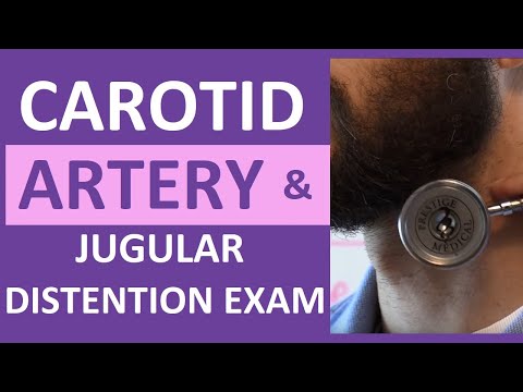 Carotid Artery Assessment | Jugular Venous Distention | Neck Assessment Nursing
