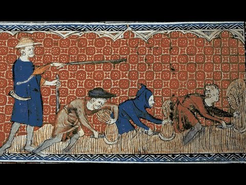 Guide to Marxist Economics - Ep 3. Feudalism Overview (serfs, types of feudal rent etc.)