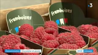 🍧 🍨 Discover the back of the decor of our ice creams and sorbets, in the Borzeix-Besse Pastry and