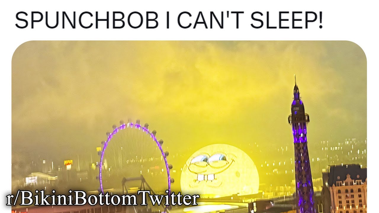 the best of r/BikiniBottomTwitter