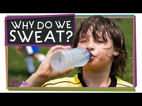 Why Do We Sweat? | Sports Science | SciShow Kids
