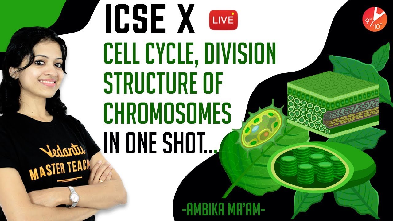 Cell Cycle, Division & Structure of Chromosome in One-Shot | ICSE Class 10 | Vedantu Learn Online