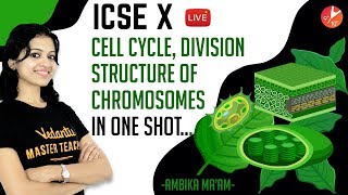 Cell Cycle, Division & Structure of Chromosome in One-Shot | ICSE Class 10 | Vedantu Learn Online