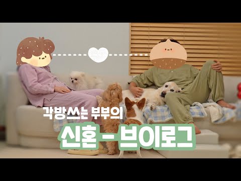 시어머니가 절대 보면 안되는 영상