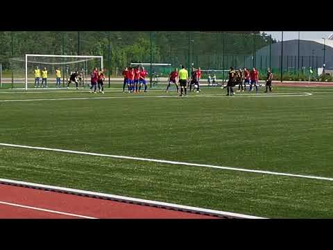 Bramka Fara Pelikan Żydowo nr 2