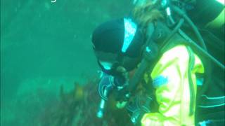 preview picture of video 'Eyemouth: first 2 dives'