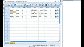 Creating dummy variables in SPSS