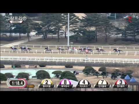 Grand Prix Stakes 2014 - Gyeongbudaero