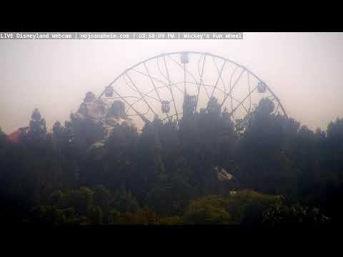 Live webcam of Disneyland Cam