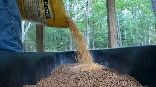 Summer Feeding and Maintenance on the Farm!