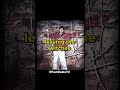 The Blair Witch Project S Accidental Ending Unveiling The Truth