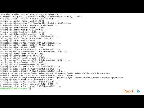 Dockerization Do more with Docker What s Wrong with the Traditional Way | packtpub com