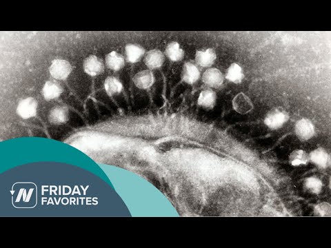 Friday Favorites: What About Kosher and Organic Chicken?