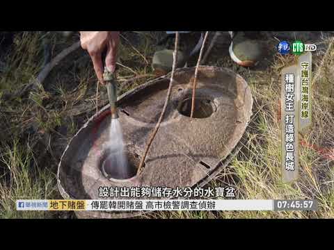 防海岸線退縮 程禮怡打造綠色長城