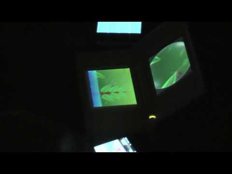 Horus Nintendo DS