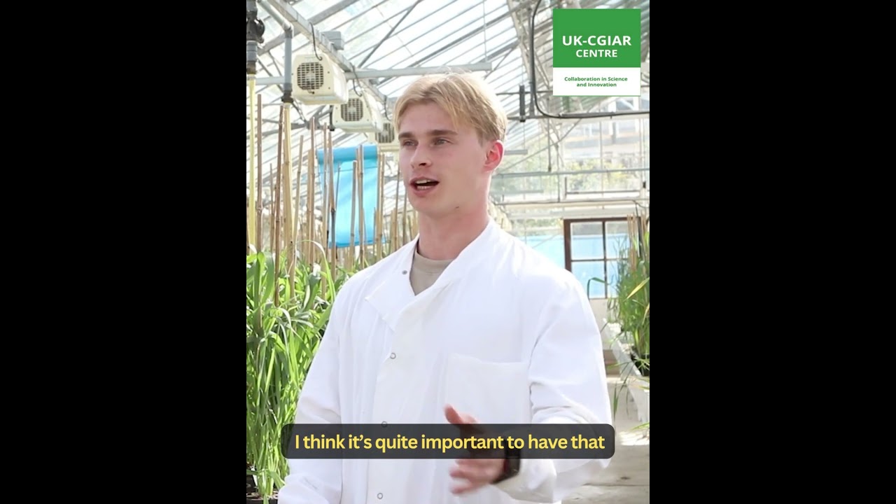 Early career researcher interview: Jakob Goldstraw
