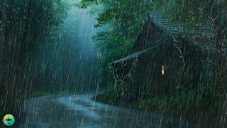 Barulho de Chuva e Trovão no Telhado para Dormir - Chuva na Floresta Tropical, ASMR for Sleeping