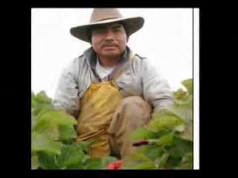 Arlo Guthrie, "Deportee"