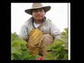 Arlo Guthrie, "Deportee" 