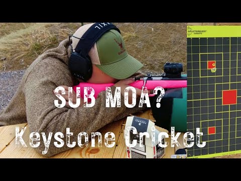 Keystone Crickett 22 Rimfire Rifle Test
