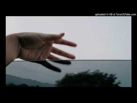 Message To Bears-I Know You Love To Fall