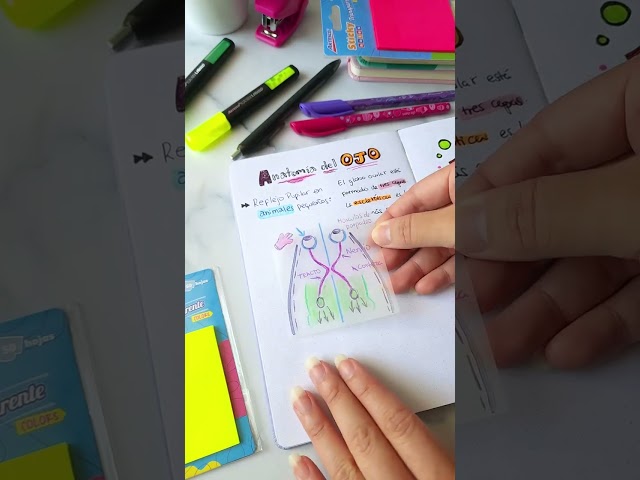 Vídeo relacionado con JIANTA Notas Adhesivas de Animales, 32 Piezas (640 Hojas) Notas Autoadhesivas, Mini Notas Adhesivas, 8 Estilos Sticky Notes Bonitas para Recordatorios, Planificadores, Mensajes