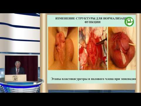 Коган М И - Функциональная реконструктивно пластическая урология