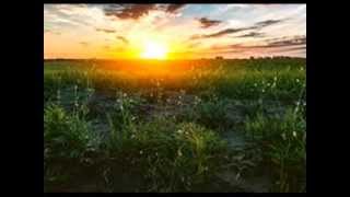 the wages of  love jtg