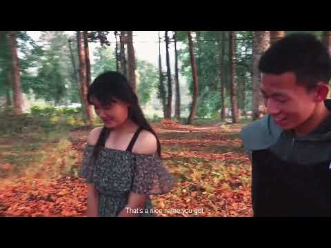 The White Knight by X A