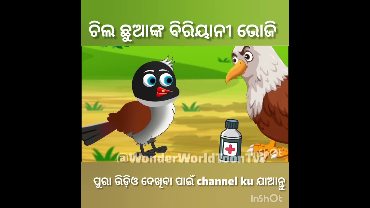 ଚିଲ ଛୁଆ ଙ୍କ ବିରିୟାନୀ ଭୋଜି #megatron #new #moralstories  Tunichidiya ki kahani TikiChadhei Gapa
