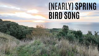 Bird song in the Isle of Wight Undercliff