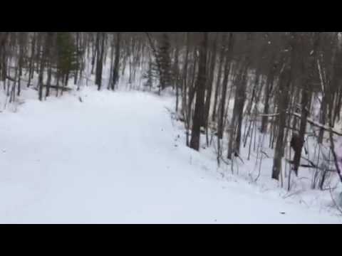 Birkie Trail Moment: Fish Hatchery hills