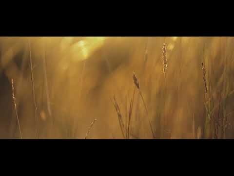 Tspik - Masoandro mody - (Audio)