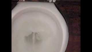 World Under Blood "Into The Arms Of Cruelty" behind the scenes part 5