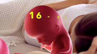 How Does First Time Movement Of Baby Inside Womb Feel || Pregnancy Baby Movements in Womb