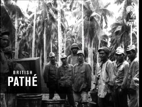 Solomon Islands - War In The Pacific (1942)