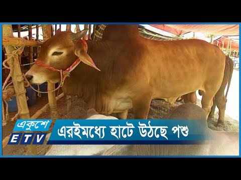 রাজধানীতে কোরবানির পশুর হাট শুরু হবে ২৫ জুন | ETV News