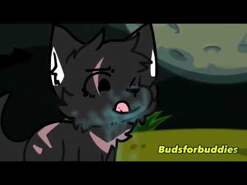 Wolf attacks scrappy and then gets killed (reupload)