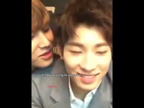 Minwon Stop 🙈🙊🤭🤫 #minwon #meanie #mingyu #wonwoo #kimmingyu #jeonwonwoo #seventeen #carat #svt