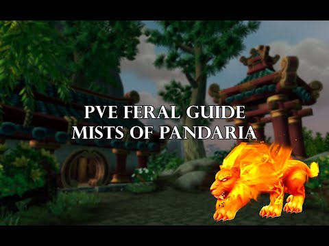 MOP PvE feral guide