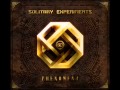 SOLITARY EXPERIMENTS - OUT IN THE RAIN ...