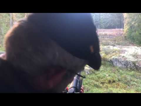 Probando las Norma Silencer.