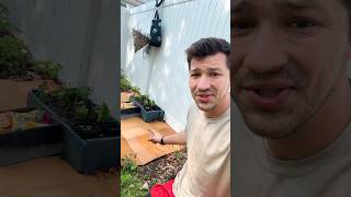 Why Gardeners Are Laying Cardboard Everywhere (Genius Hack!) #gardening