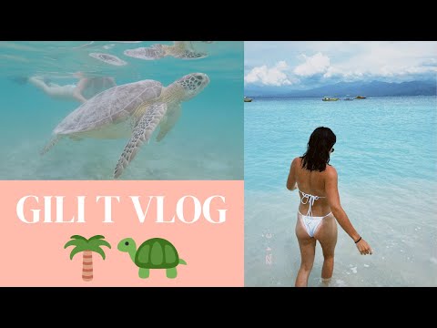 I SWAM WITH TURTLES 🐢  | GILI T VLOG