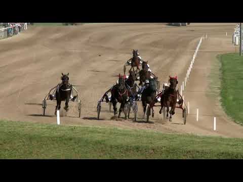 2018.04.21. 3. futam - DALIÁS DÍJ