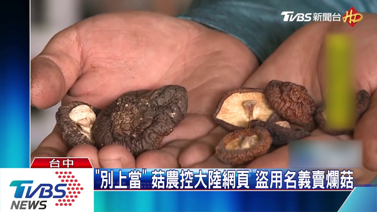 「別上當」菇農控大陸網頁 盜用名義賣爛菇