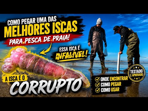 Como Pegar Corrupto | A Melhor Isca para Pesca de Praia