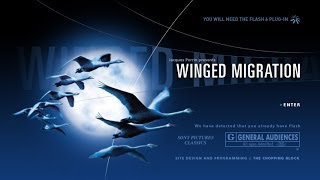 Winged Migration - Le Peuple Migrateur | Official Trailer
