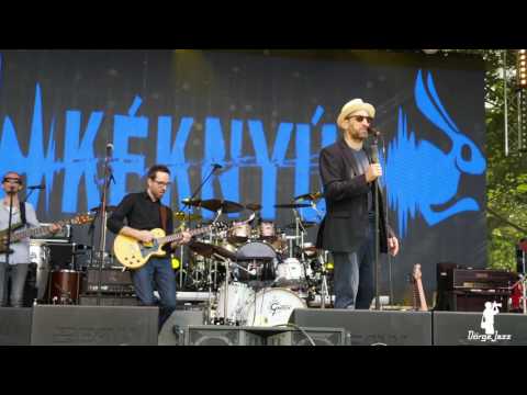 KékNyúl Belvárosi feszt. "Crowded Universe" 2017. 05. 24.