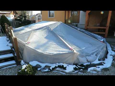 Teichkontrolle Koiteich bei 4° Wassertemperatur - #Eis